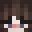 Minecraft players skin