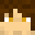 Minecraft players skin