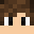 Minecraft players skin