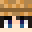 Minecraft players skin