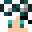 Minecraft players skin
