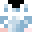 Minecraft players skin