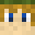 Minecraft players skin