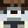 Minecraft players skin