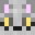 Minecraft players skin