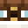 Minecraft players skin