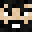 Minecraft players skin