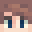 Minecraft players skin