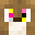 Minecraft players skin