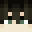 Minecraft players skin