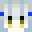 Minecraft players skin