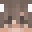 Minecraft players skin