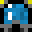 Minecraft players skin