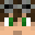Minecraft players skin