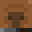 Minecraft players skin