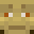 Minecraft players skin