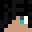 Minecraft players skin