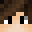 Minecraft players skin