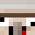 Minecraft players skin