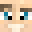 Minecraft players skin