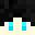 Minecraft players skin