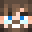 Minecraft players skin
