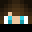 Minecraft players skin
