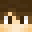 Minecraft players skin