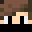 Minecraft players skin