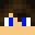 Minecraft players skin