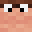 Minecraft players skin