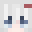 Minecraft players skin