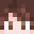 Minecraft players skin