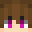 Minecraft players skin