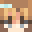 Minecraft players skin