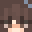 Minecraft players skin