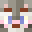 Minecraft players skin